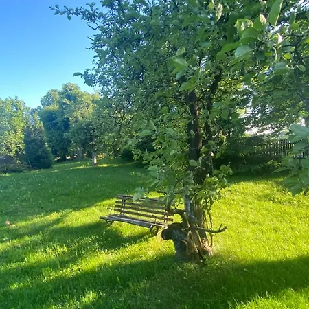 W Sadzie Na Mazurach Stręgielek