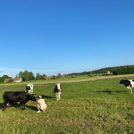 W Sadzie Na Mazurach Gospodarstwo agroturystyczne *